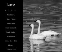 Meet Love