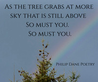 The Tree
