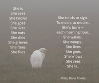 She Is
