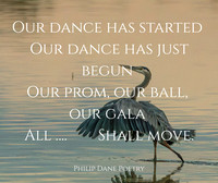 Our Dance